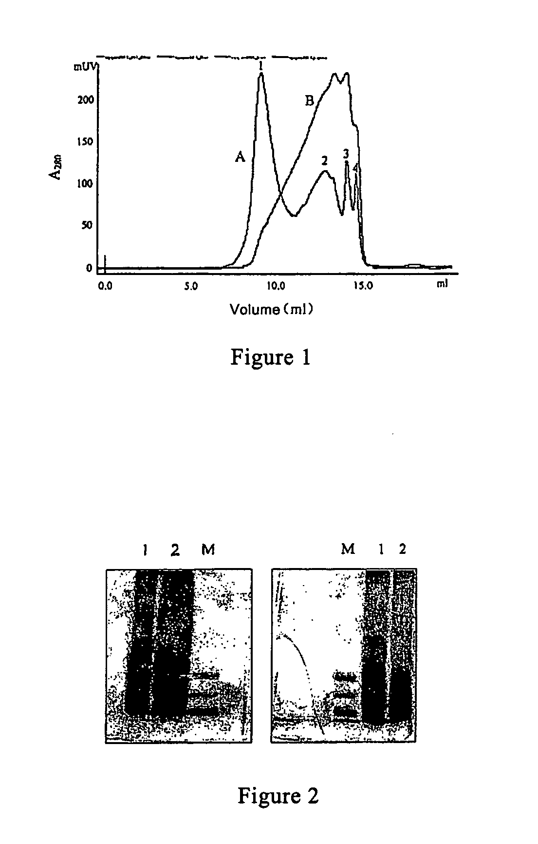 Amino acid sequence from active principles in musk and their acetic salts, preparation and use thereof