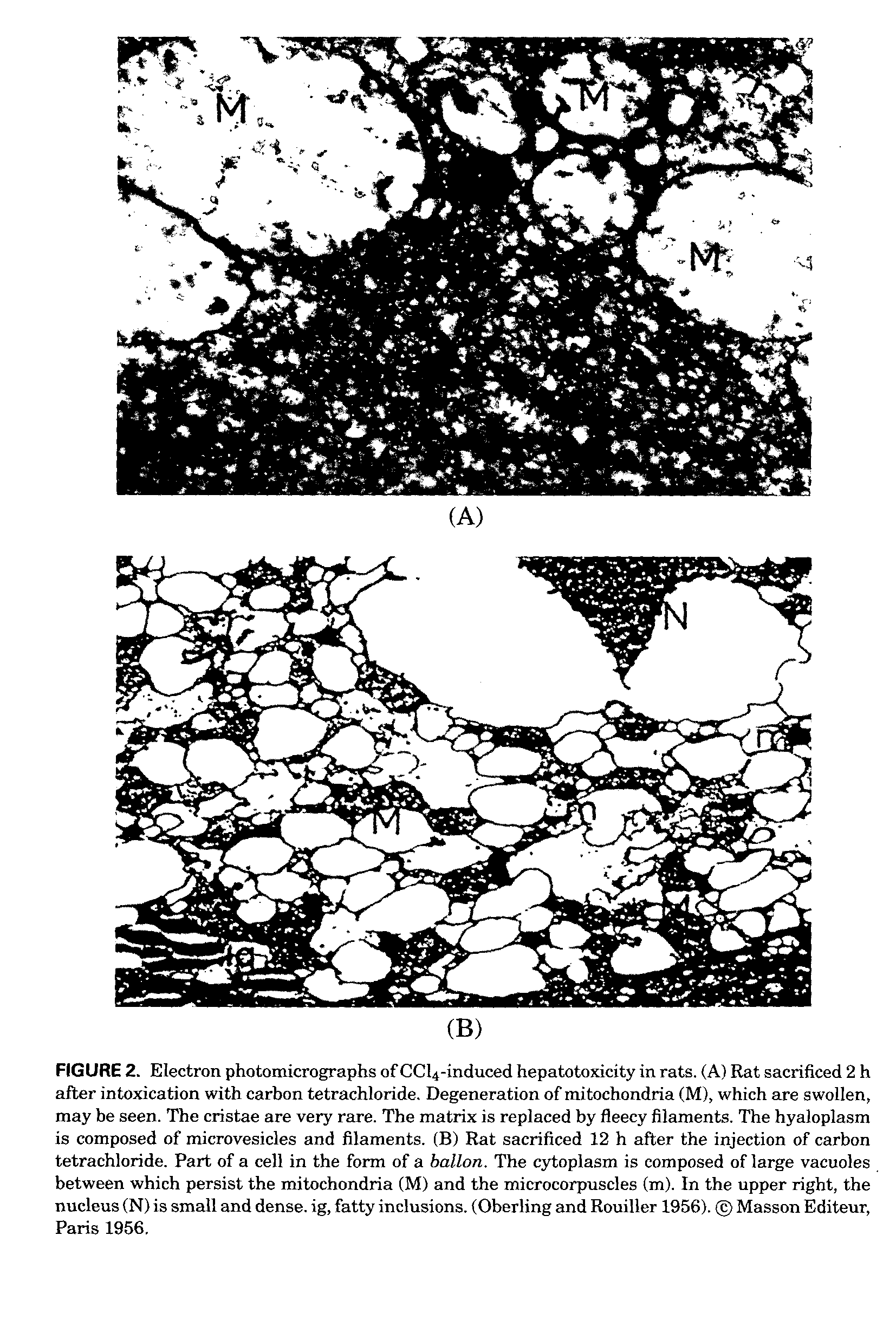 Method of use of Xenon-133 for the treatment of AIDS, other viral and non-viral infections