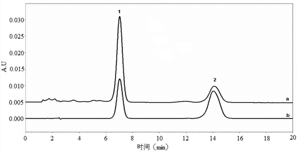 Preparation method for effective fraction of anti-osteoporosis cornus officinalis