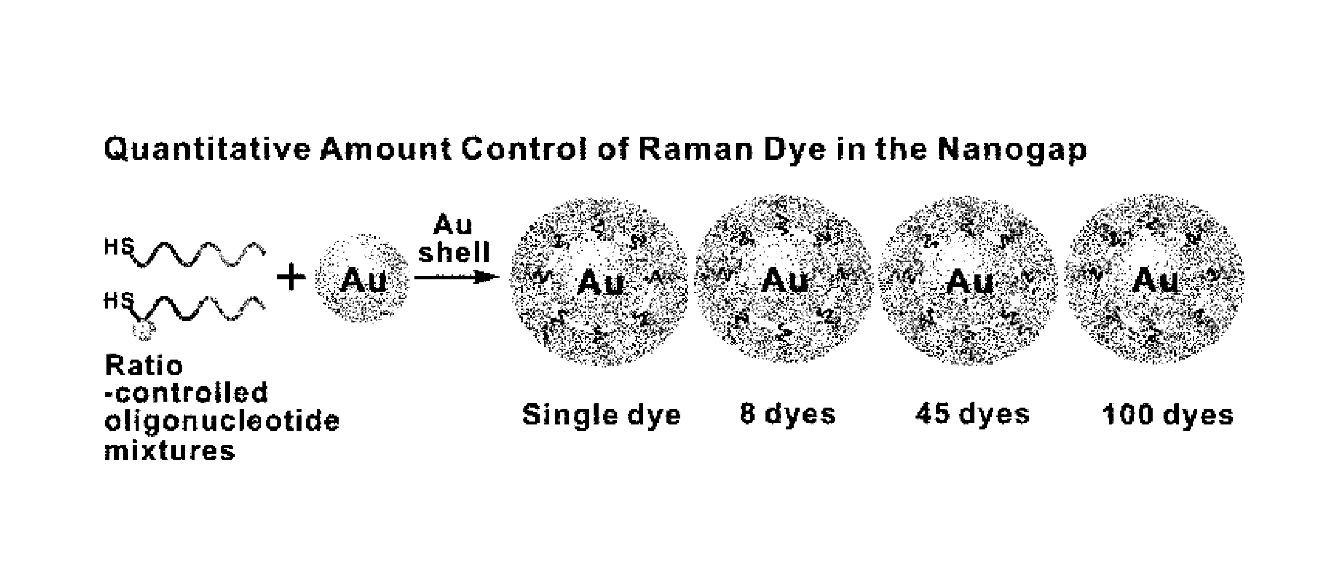 Single nanoparticle having a nanogap between a core material and a shell material, and preparation method thereof