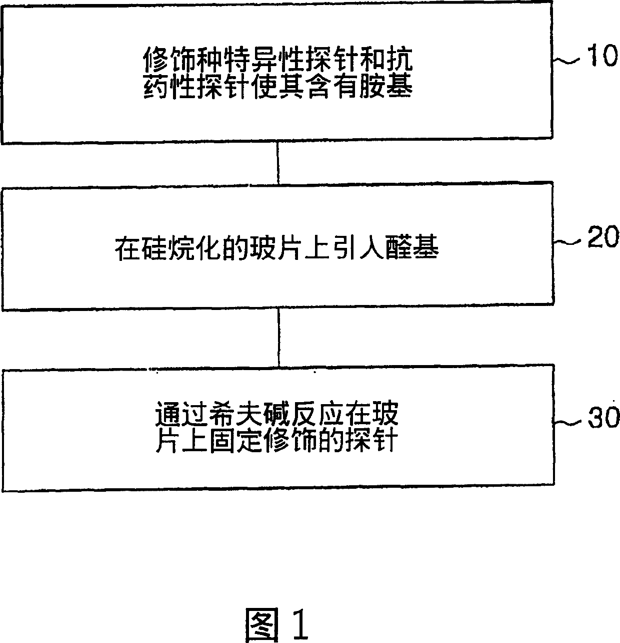 Diagnosis kit for mycobacterium species identification and drug-resistance detection and mfg. method thereof