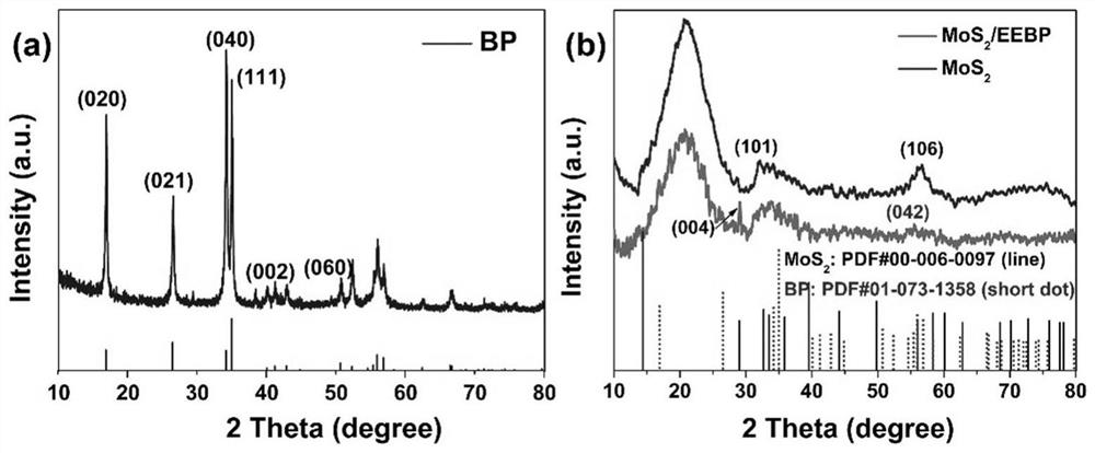 Molybdenum disulfide-black phosphorene composite material in no  <sub>2</sub> Applications in Gas Sensor Devices