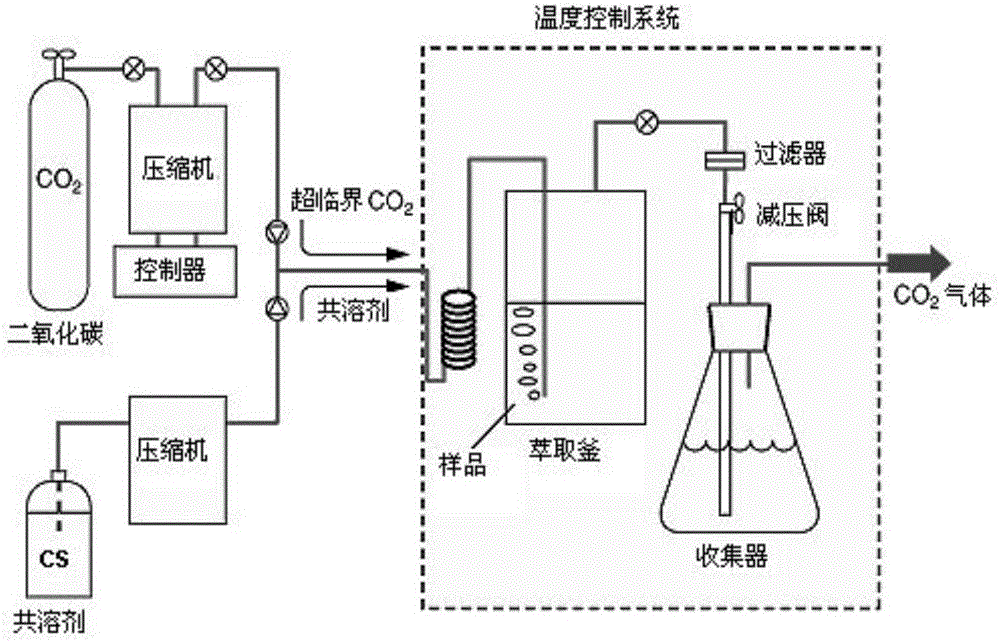 Separation detection method of phenol compounds in textiles