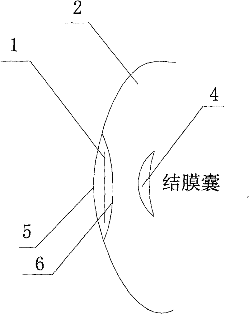 Iris rotating artificial eye and manufacturing method thereof