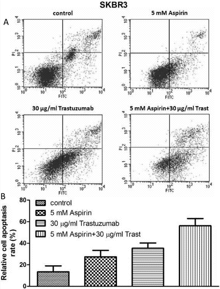 Application of aspirin and herceptin combination or synergy in oncotherapy