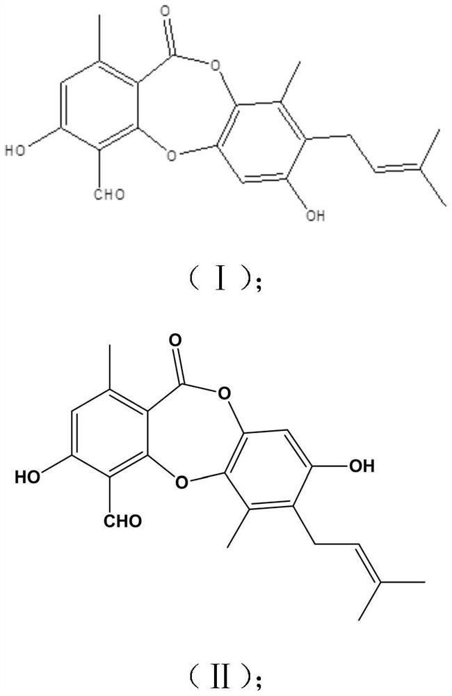 A kind of preparation method and use of secondary metabolites of endophytic fungus chaetomium sp of Eucalyptus margina