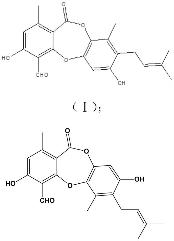 A kind of preparation method and use of secondary metabolites of endophytic fungus chaetomium sp of Eucalyptus margina