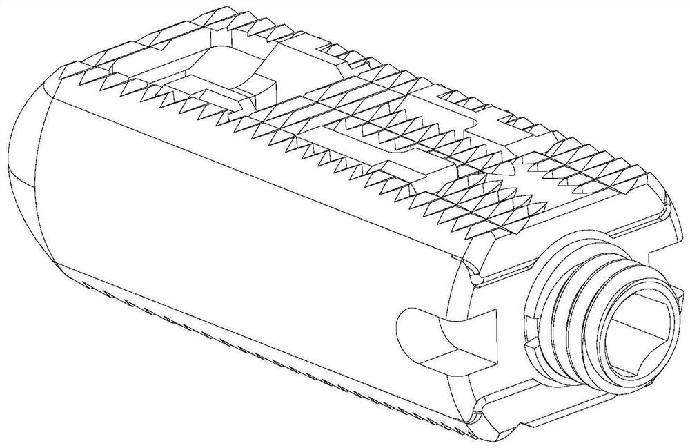 Interbody fusion cage capable of realizing pressurizing bone grafting and matching with height of intervertebral space