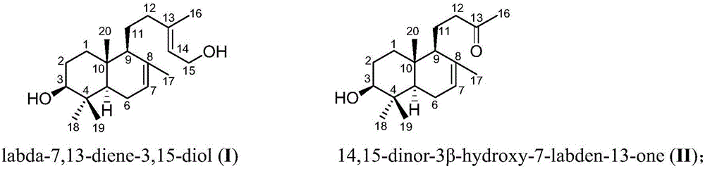 Method for extracting and separating labdane diterpenes from Himalayan mayapple fruit and application thereof