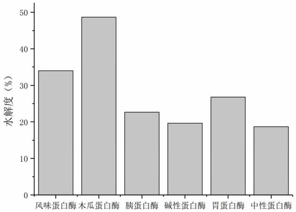 A kind of jellyfish hypolipidemic peptide and preparation method thereof