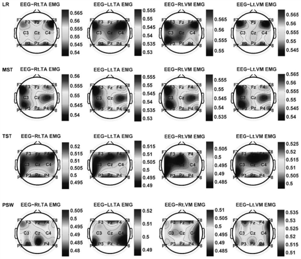 Electroencephalogram and electromyography correlation analysis method for fine gait phase