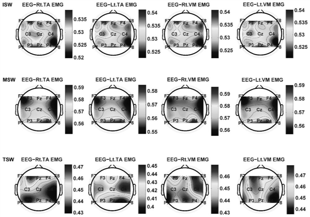 Electroencephalogram and electromyography correlation analysis method for fine gait phase