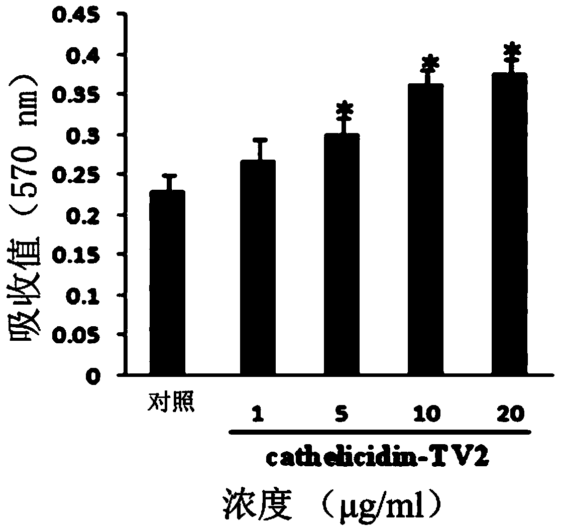 Application of tylototriton verrucosus skin repair peptide cathelicidin-TV2