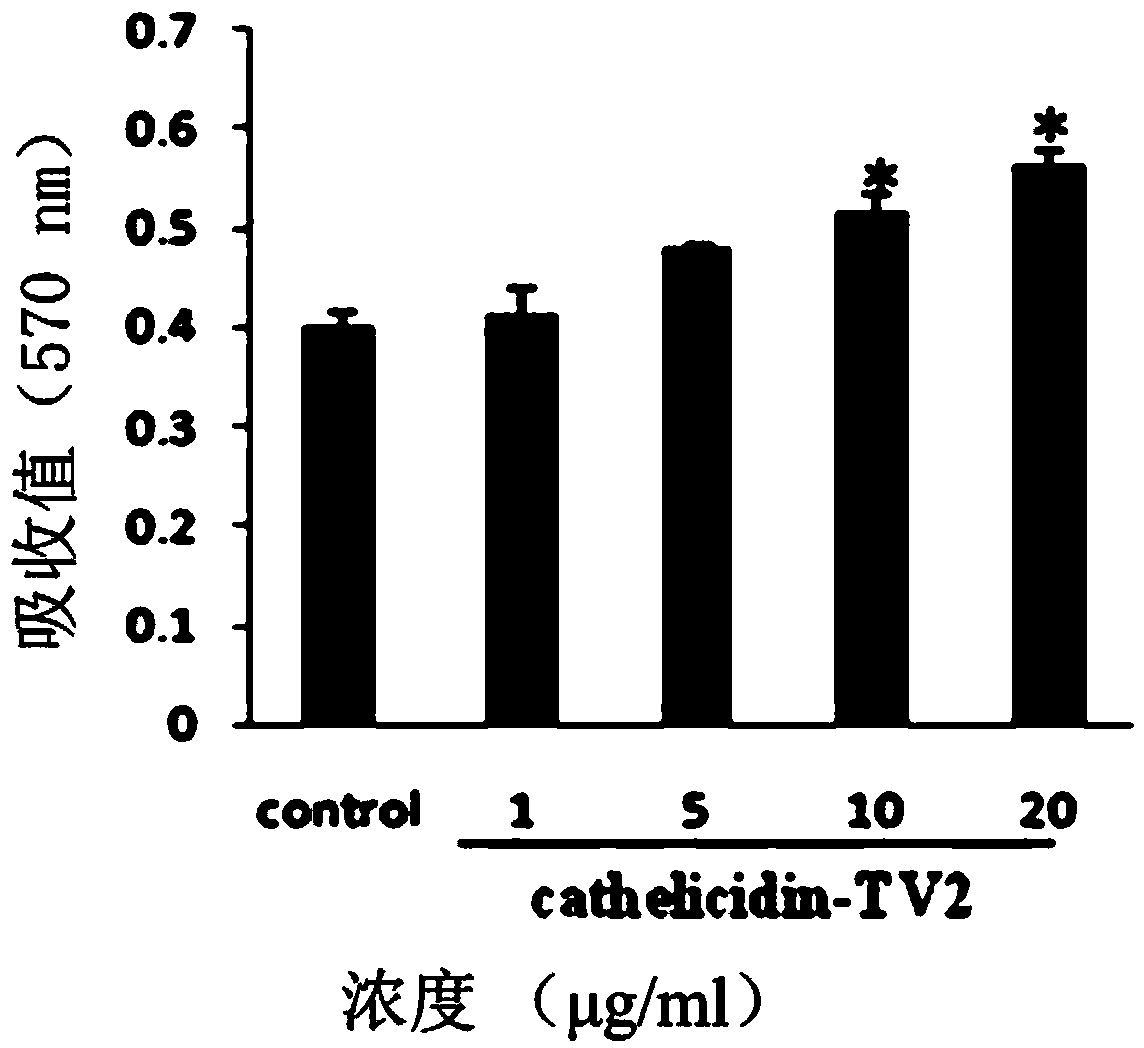 Application of tylototriton verrucosus skin repair peptide cathelicidin-TV2