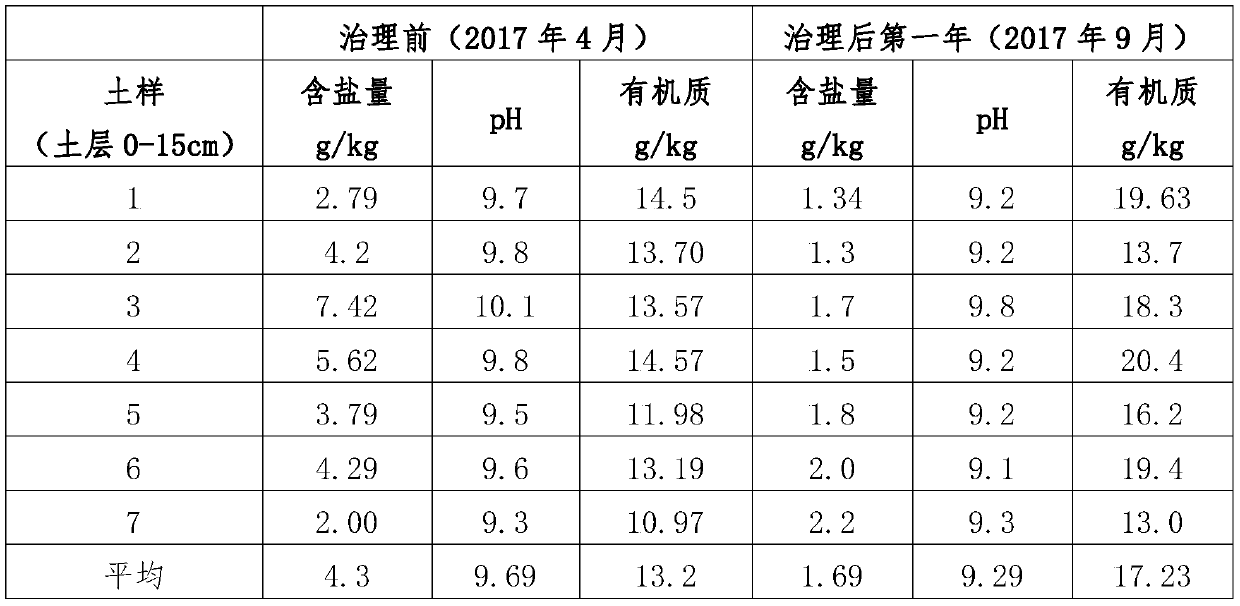 Soda saline-alkaline land paddy field soil modifier and preparation method thereof