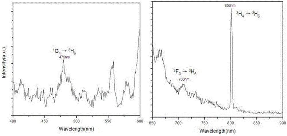 Fluorescent powder and preparation method thereof