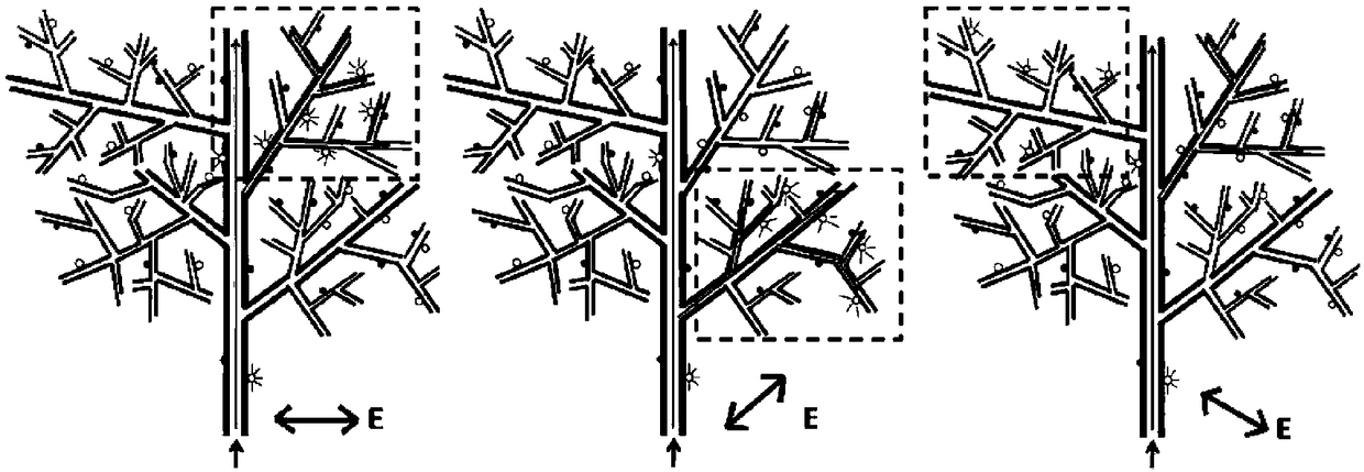 Branchy tree-shaped plasmon waveguide composite nano-structure synthesis method and optical manipulation method thereof