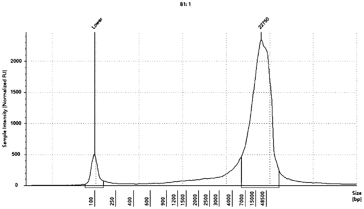 Kit for genome DNA extraction and application of kit