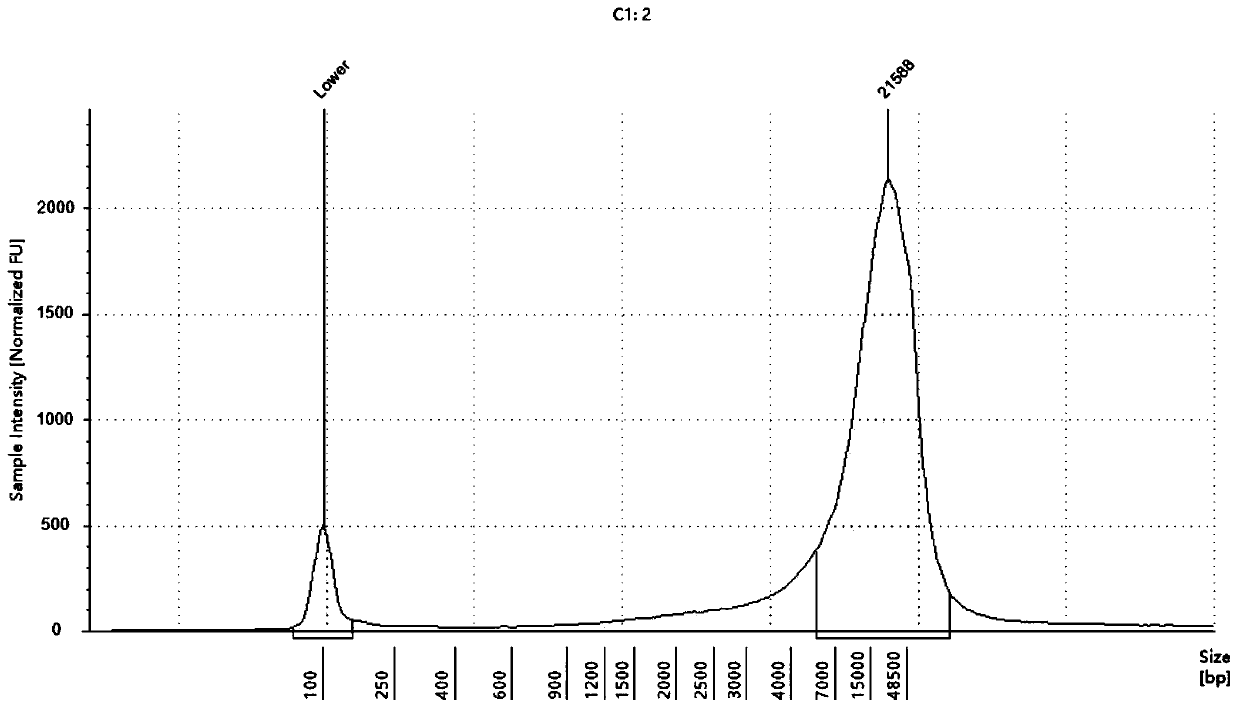 Kit for genome DNA extraction and application of kit