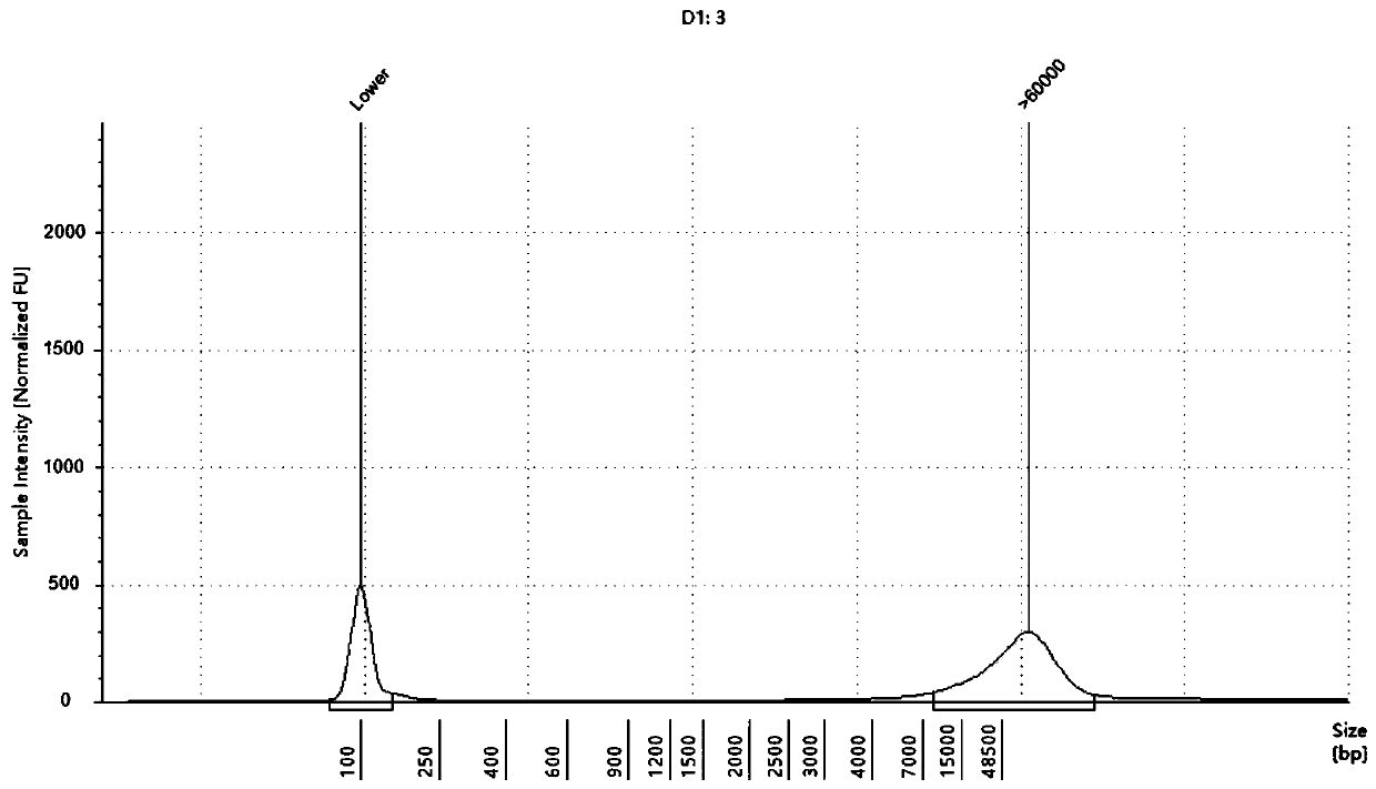 Kit for genome DNA extraction and application of kit