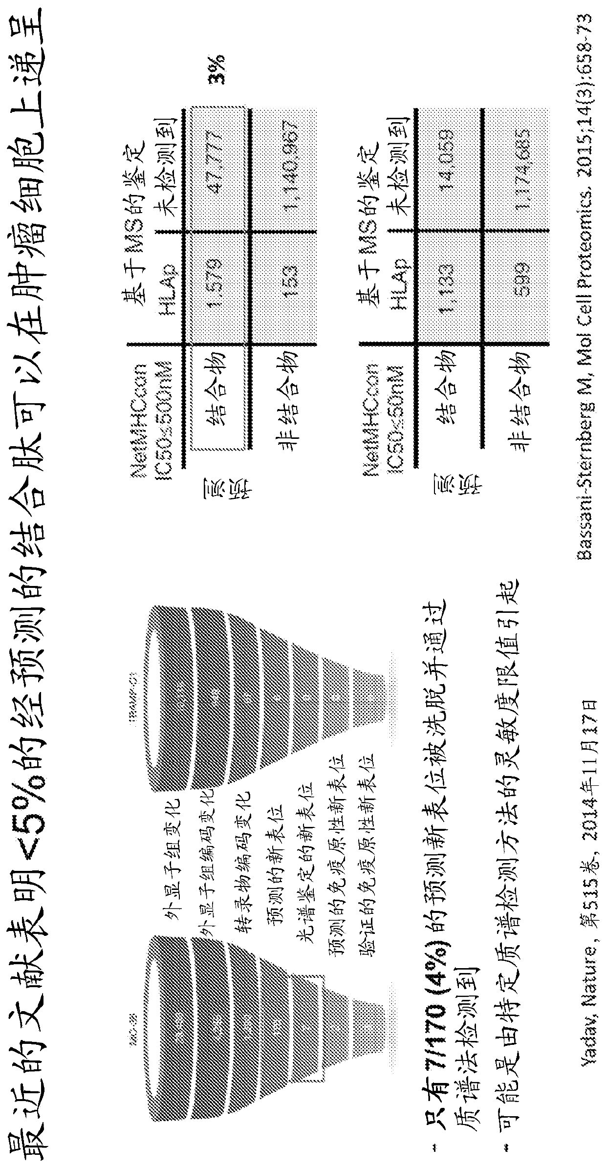 Alphavirus neoantigen vectors