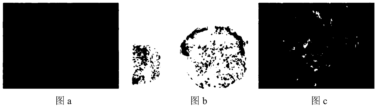 Method for producing mesenchymal stem cells through induction of human pluripotent stem cells (hPSC)