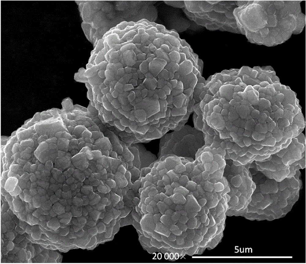 Nickel cobalt lithium aluminate positive material and preparation method thereof