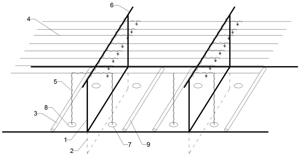 Method for cultivating grapes in rotation