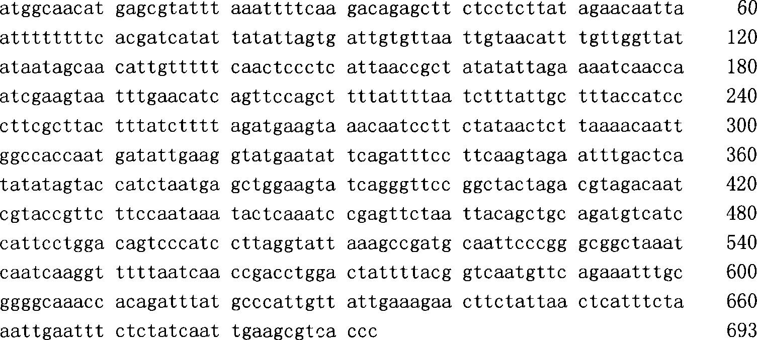 Molecular genetic identification technique of Eriocheir sinensis and Eriocheir japonica