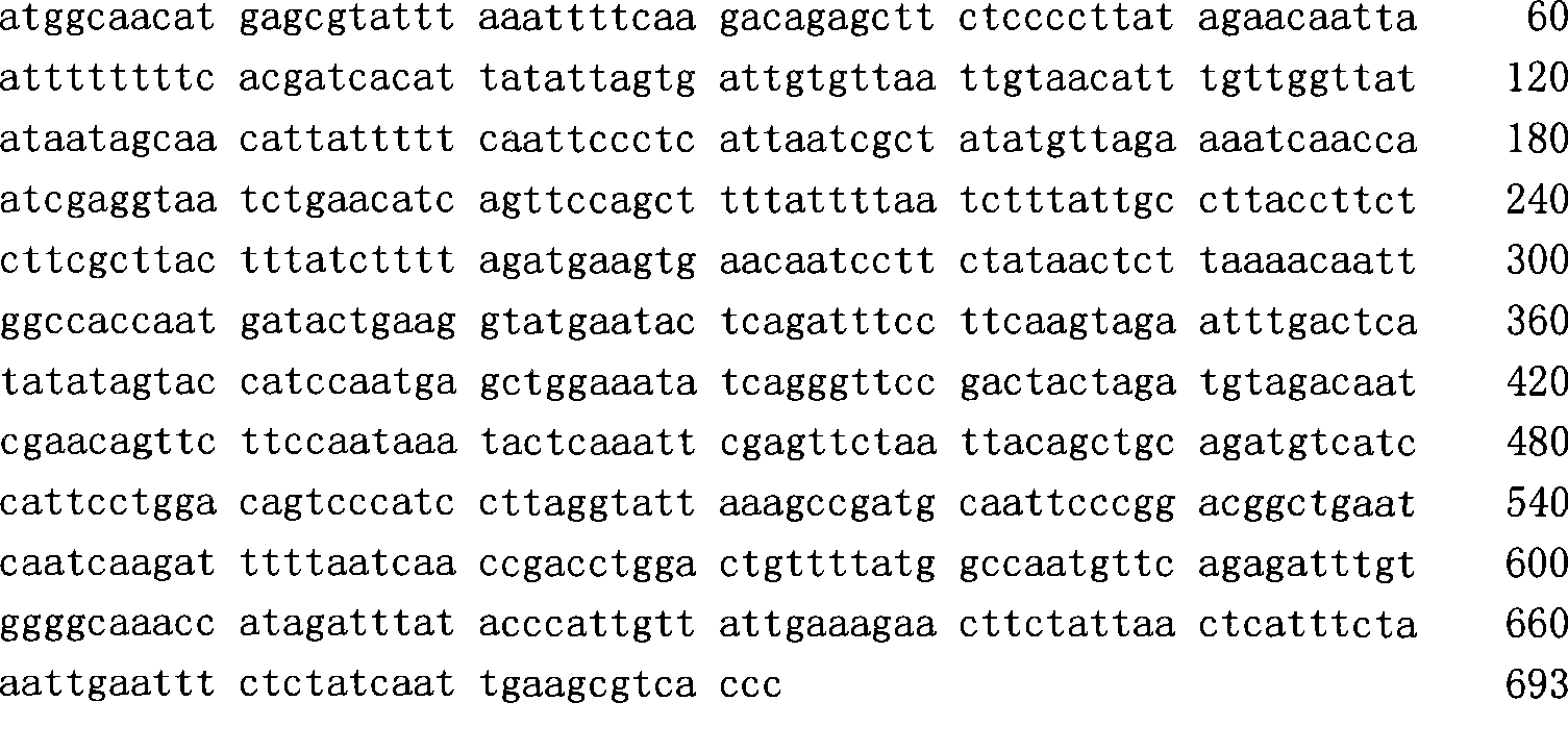 Molecular genetic identification technique of Eriocheir sinensis and Eriocheir japonica