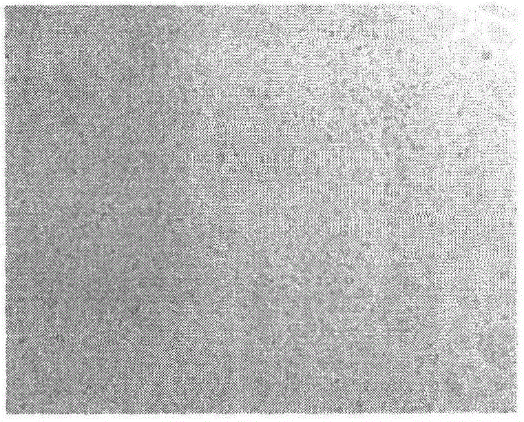 Application of influenza treating medicine composition in preparation of antiviral medicine