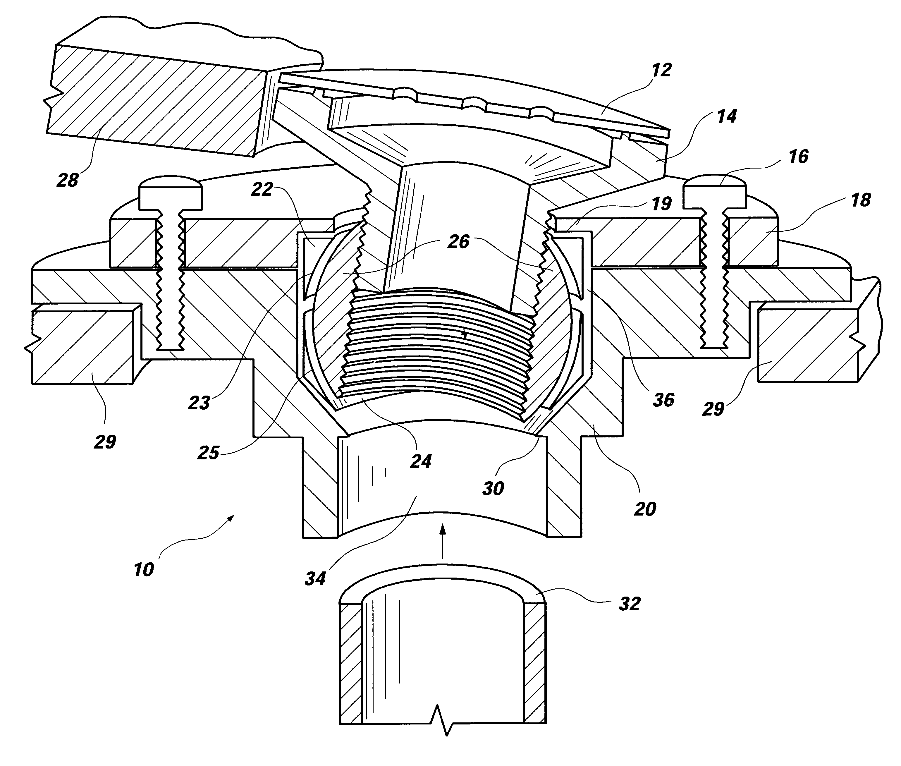 Adjustable drain apparatus