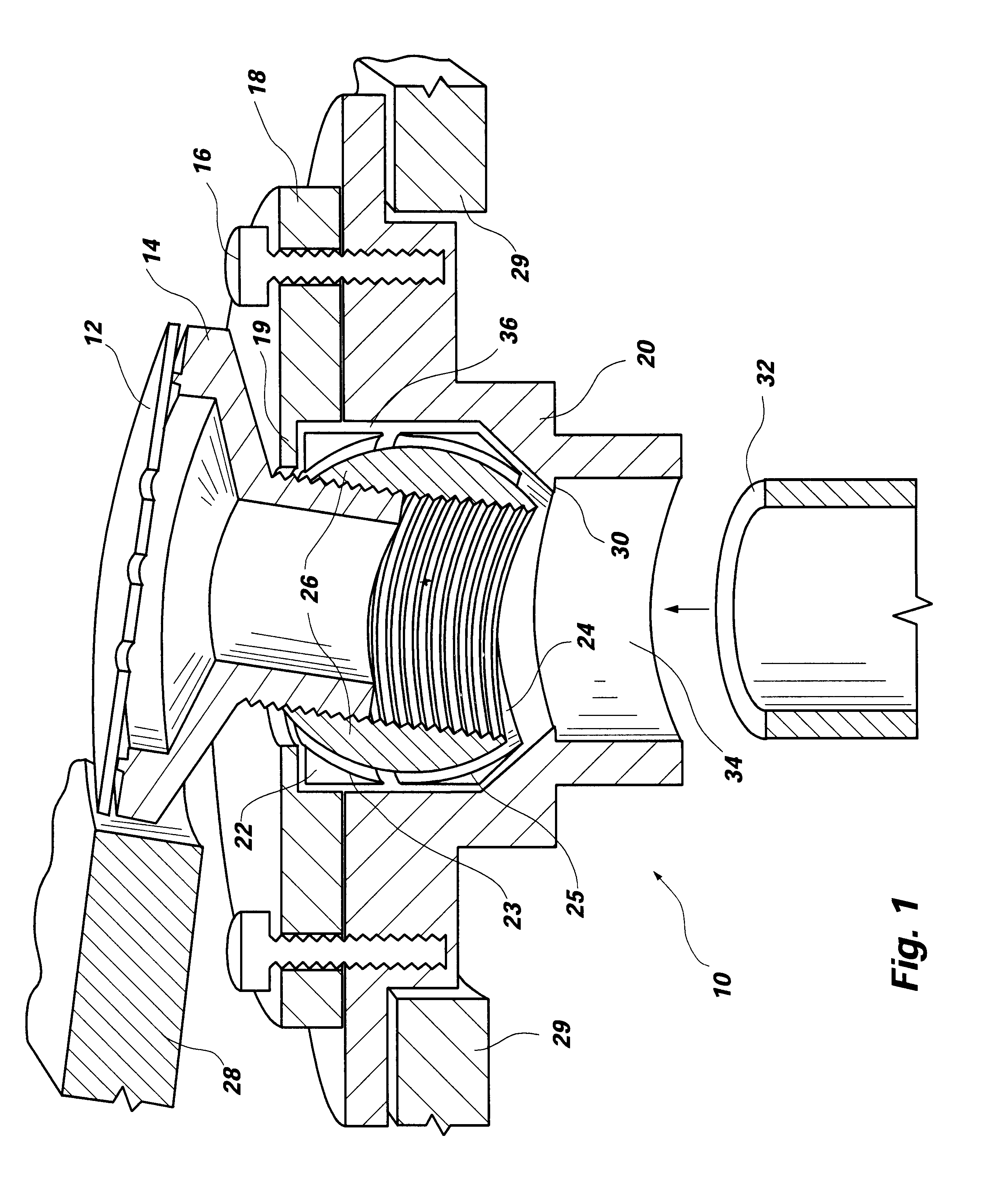 Adjustable drain apparatus