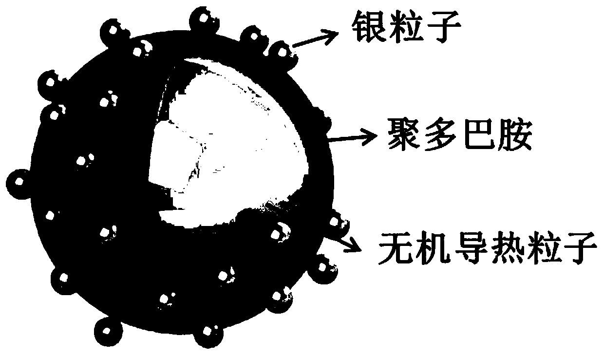 A kind of core-shell structure silver-based thermally conductive rubber composite material and preparation method thereof