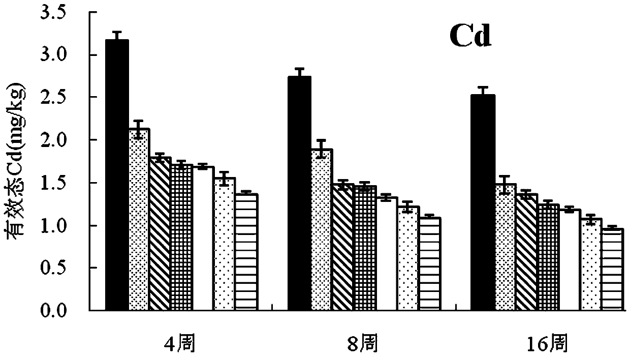 Heavy metal passivator and method for preparing and remediating cadmium and lead polluted soil