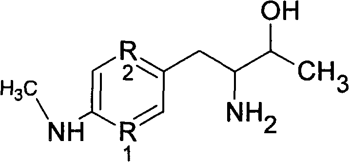 Additive for warm-mixing rubber-asphalt mixture and mixing method of mixture