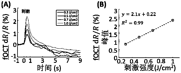 Method and device for non-mark all-optical nerve regulation and imaging