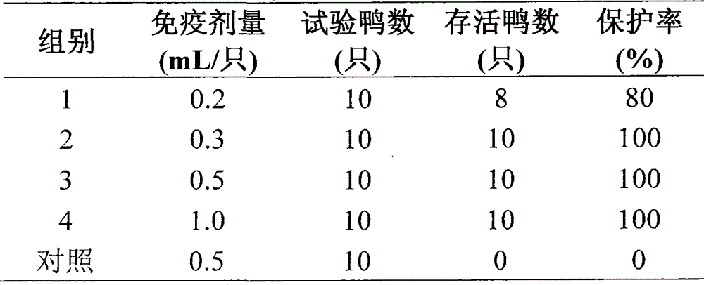 Astragalus polysaccharide adjuvant and uses in type I riemerella anatipestifer inactivated vaccine