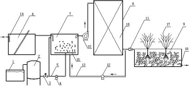 Rural domestic sewage reutilization treatment device