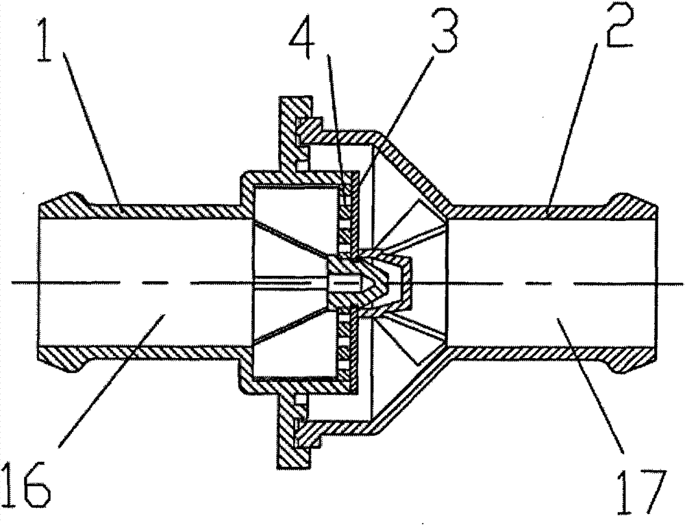 Check valve for engine