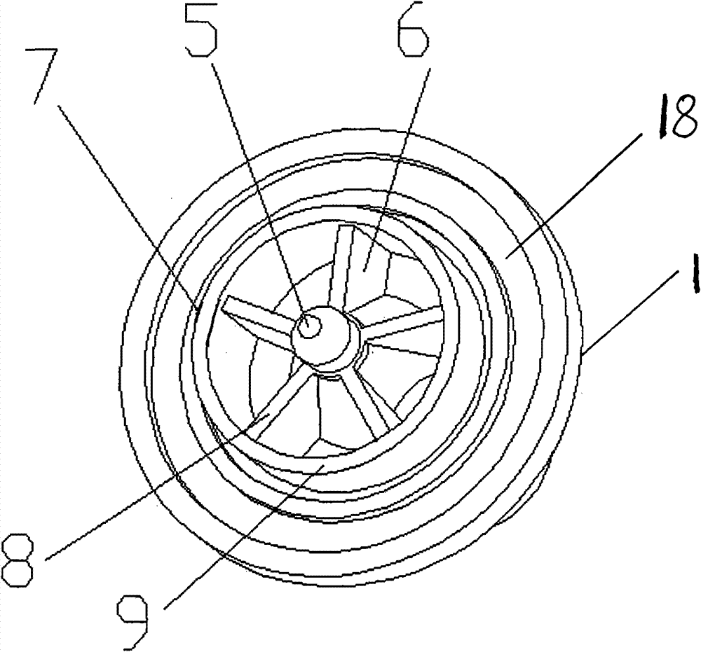 Check valve for engine