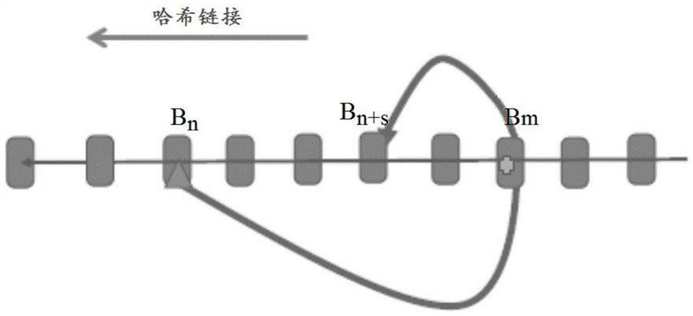 Method and apparatus for preventing blockchain forks