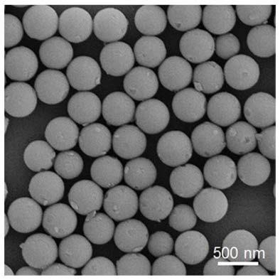 GSP film material for solar photo-thermal steam conversion and preparation method thereof