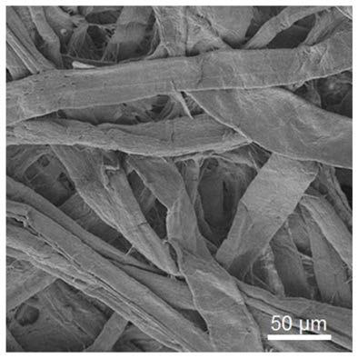 GSP film material for solar photo-thermal steam conversion and preparation method thereof