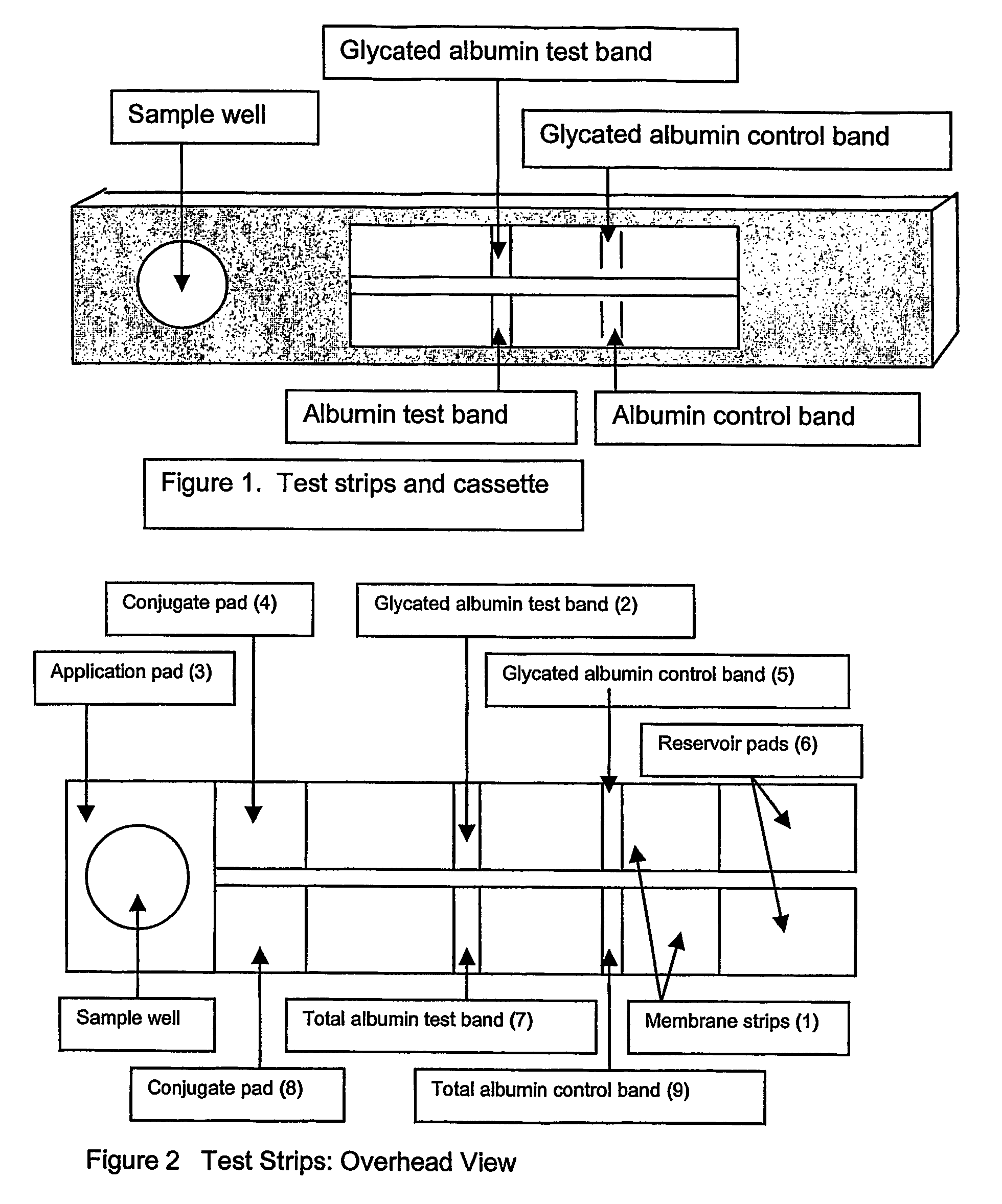 Rapid test for glycated albumin