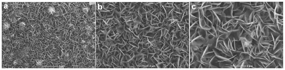 Hydrotalcite in-situ growth composite membrane, and preparation method and application thereof