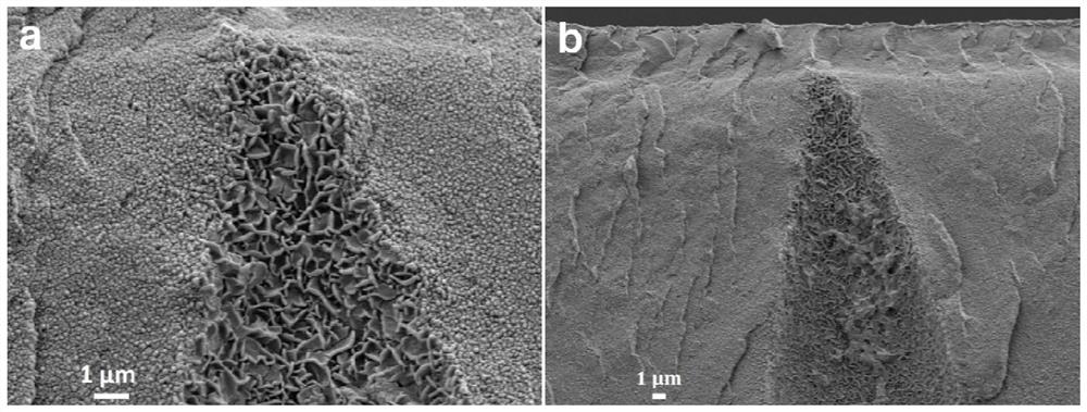 Hydrotalcite in-situ growth composite membrane, and preparation method and application thereof