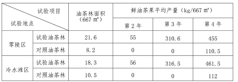 High-efficiency tea-oil tree forest building method