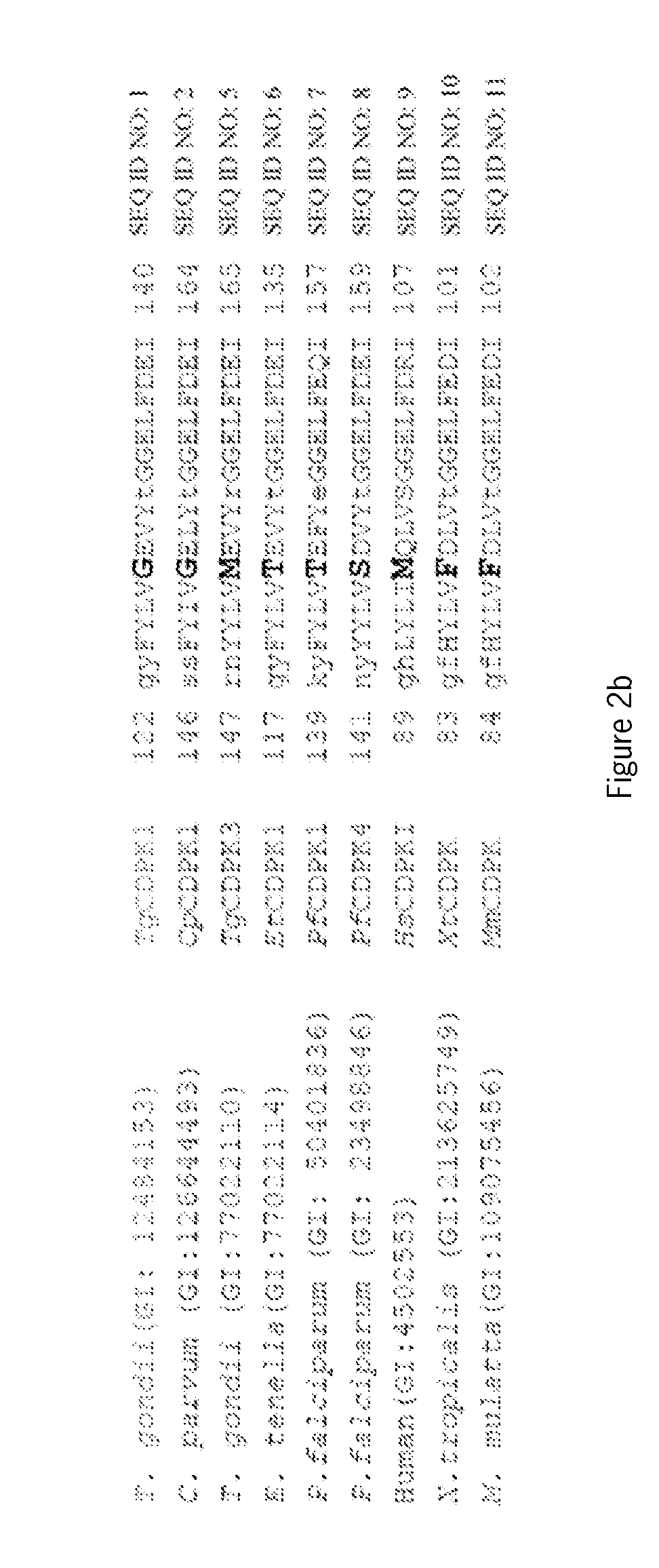 Compositions And Methods For Treating Toxoplasmosis, Cryptosporidiosis, And Other Apicomplexan Protozoan Related Diseases