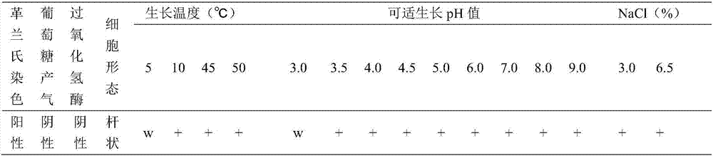 Lactobacillus plantarum and application thereof to silage preparation